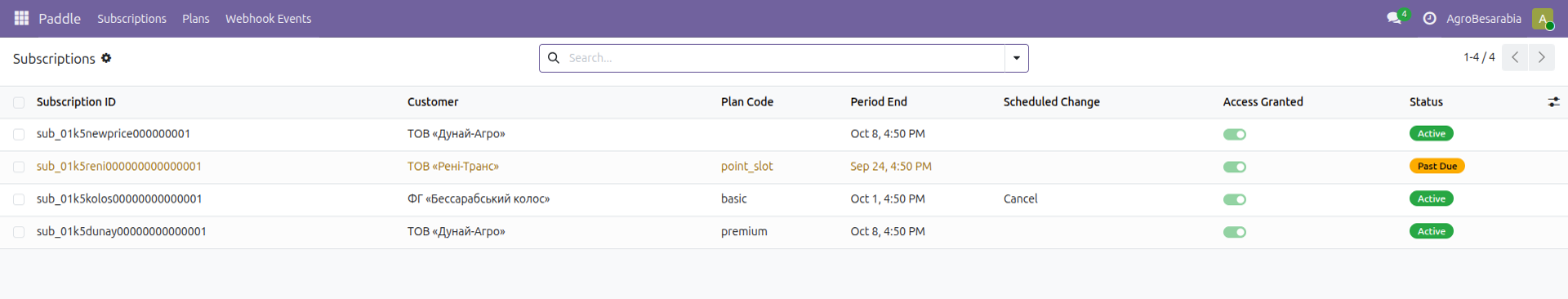 Mirrored Paddle subscriptions with the access flag